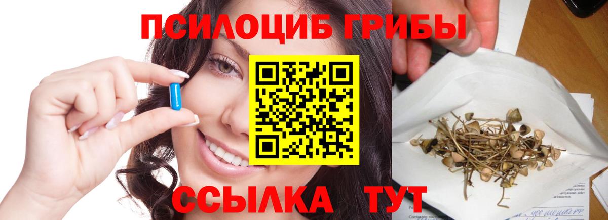 купить  цена  Вход с VPN  Курганинск  Галлюциногенные грибы прущие грибы 